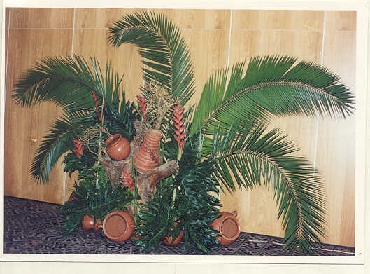 plant displays in nairobi